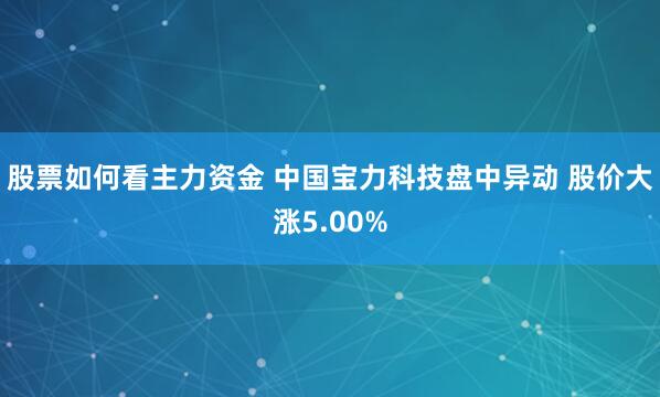 股票如何看主力资金 中国宝力科技盘中异动 股价大涨5.00%