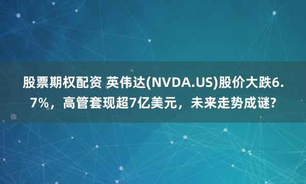 股票期权配资 英伟达(NVDA.US)股价大跌6.7%，高管套现超7亿美元，未来走势成谜?