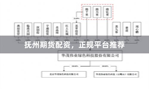 抚州期货配资，正规平台推荐