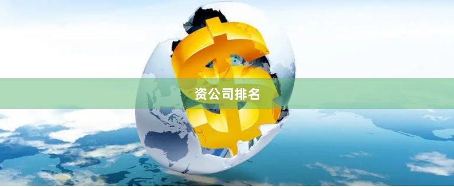 资公司排名