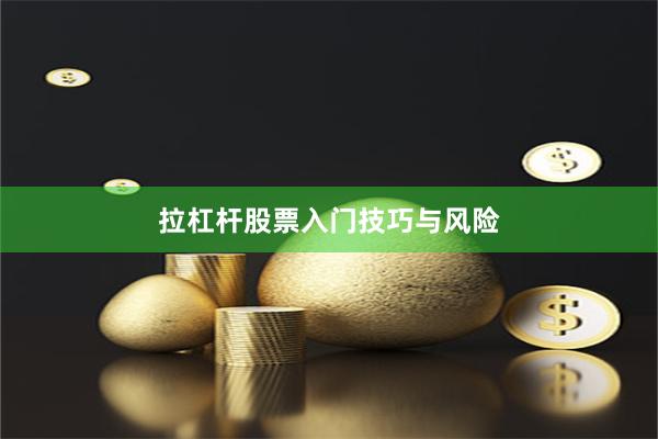 拉杠杆股票入门技巧与风险